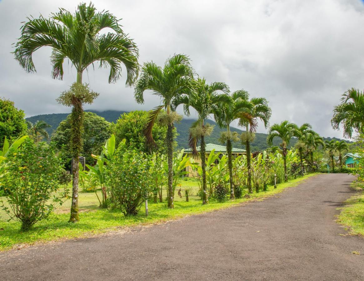 Hotel & Hot Springs Sueno Dorado La Fortuna المظهر الخارجي الصورة